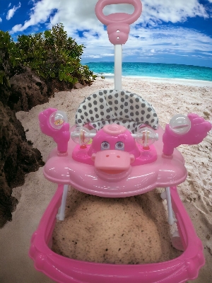 Picture of Baby Musical Walker / Duck Walker with Push Handle ,