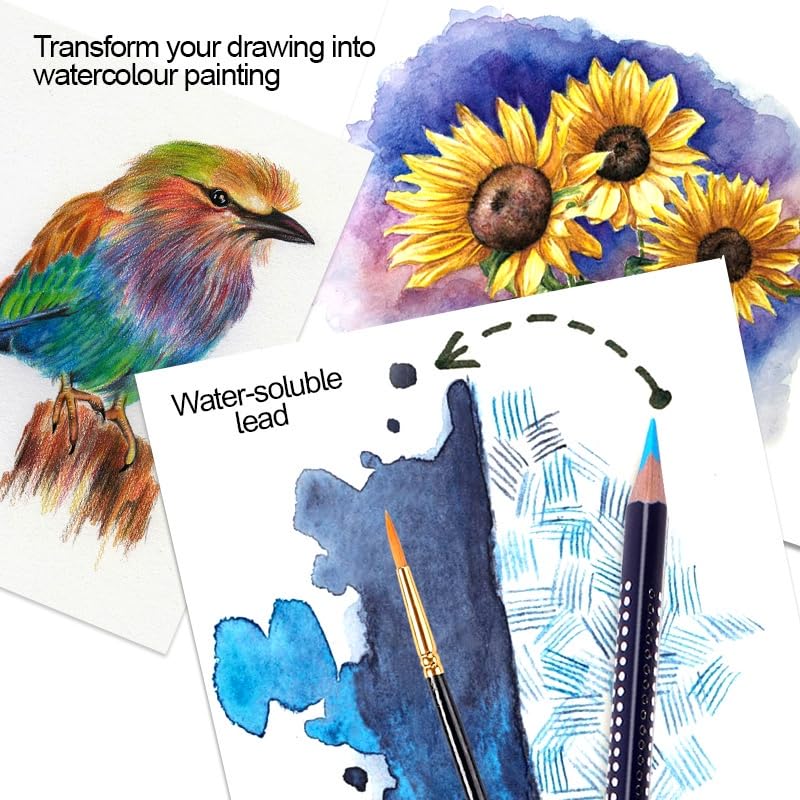 Picture of Giorgione® Watercolour Pencils Tin (Set of 12)