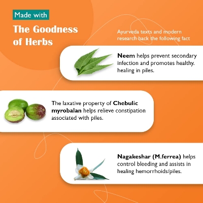 Picture of Himalaya Wellness Pure Herbs Pilex Tablet 60p INDIAN