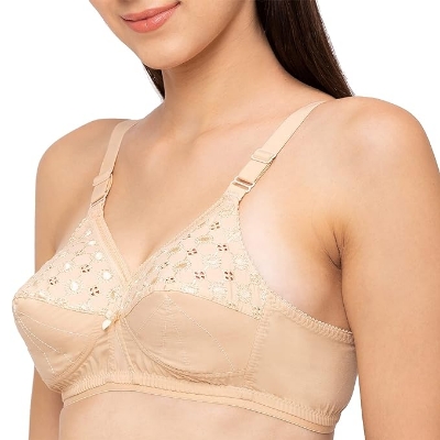 Picture of Juliet Nari Bra Skin Colour Size 42 INDIAN