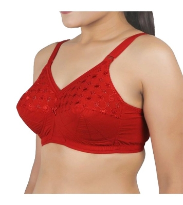 Picture of Juliet Nari Bra Red Colour Size 34 INDIAN