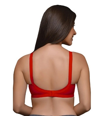 Picture of Juliet Nari Bra Red Colour Size 34 INDIAN