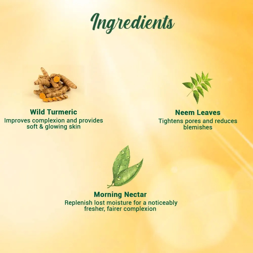 Picture of BIOTIQUE Sunscreen Moisturizer Lotion Sun Protect SPF 30+ UVA/UVB 120ml INDIAN