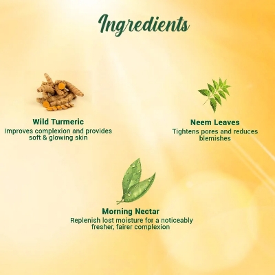 Picture of BIOTIQUE Sunscreen Moisturizer Lotion Sun Protect SPF 30+ UVA/UVB 120ml INDIAN