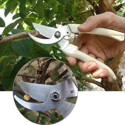 Picture of Pruner Made in china