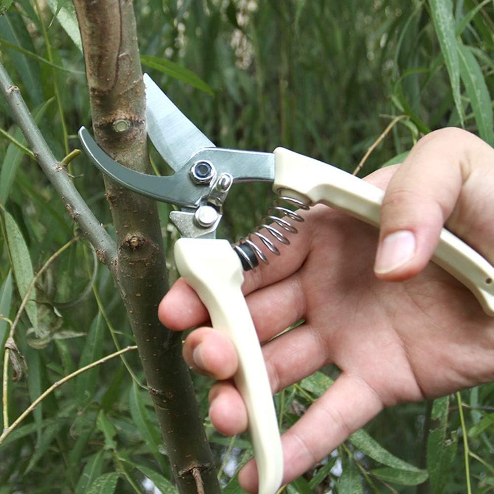 Picture of Pruner Made in china