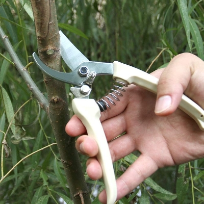 Picture of Pruner Made in china
