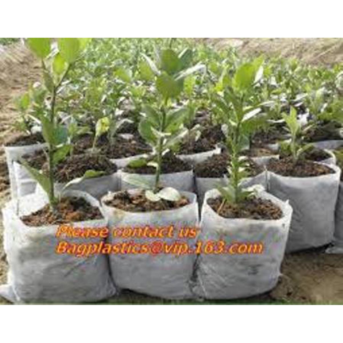 Picture of নার্সারি পলি ব্যাগ#Nursery Poly Bags/Grow Bags (5"x6" @500gm)
