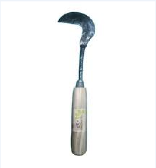 Picture of নিড়ানি# Weed Hook Heavy 13" Long