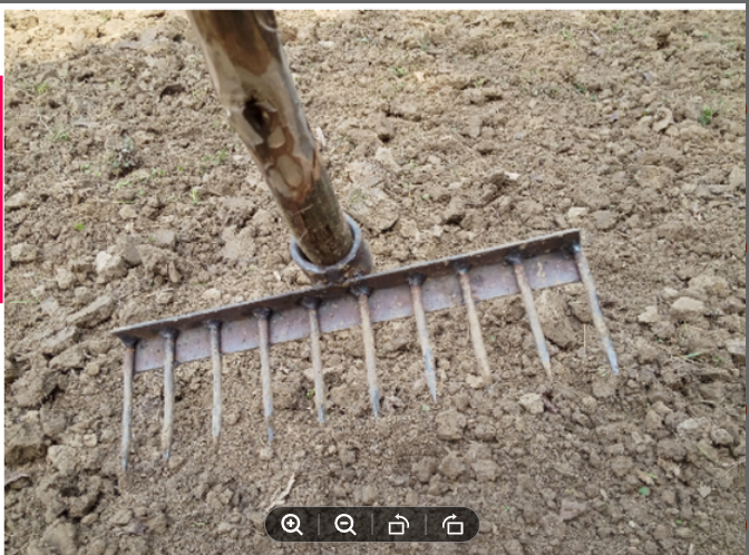 Picture of Spade spike spade (Same As Picture)