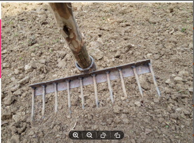 Picture of Spade spike spade (Same As Picture)