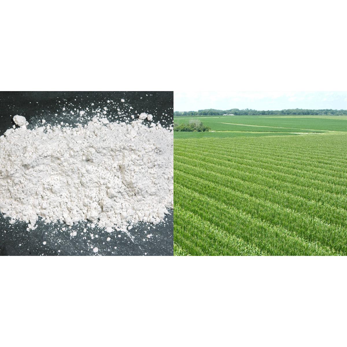 Picture of Dolomite Lime 500Gm