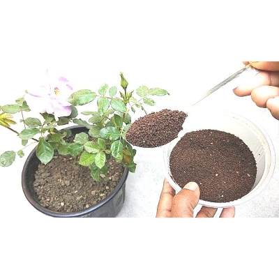 Picture of Vermicompost-Orgaanic Fertilizer 5kg