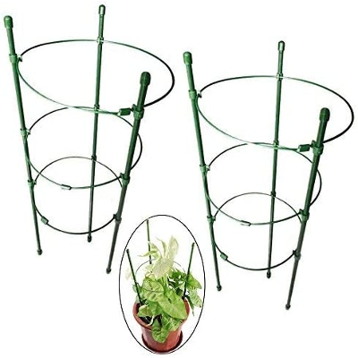 Picture of Plant support cage assemble for garden 1set