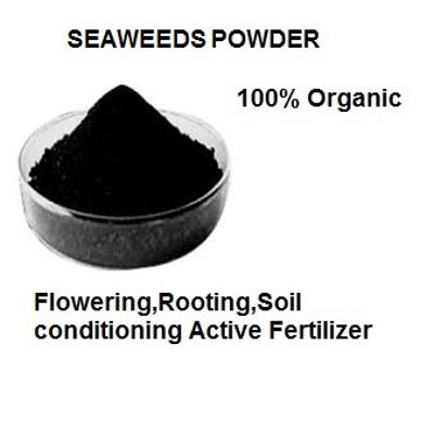 Picture of Seaweed Extract/Powder for plant 50g