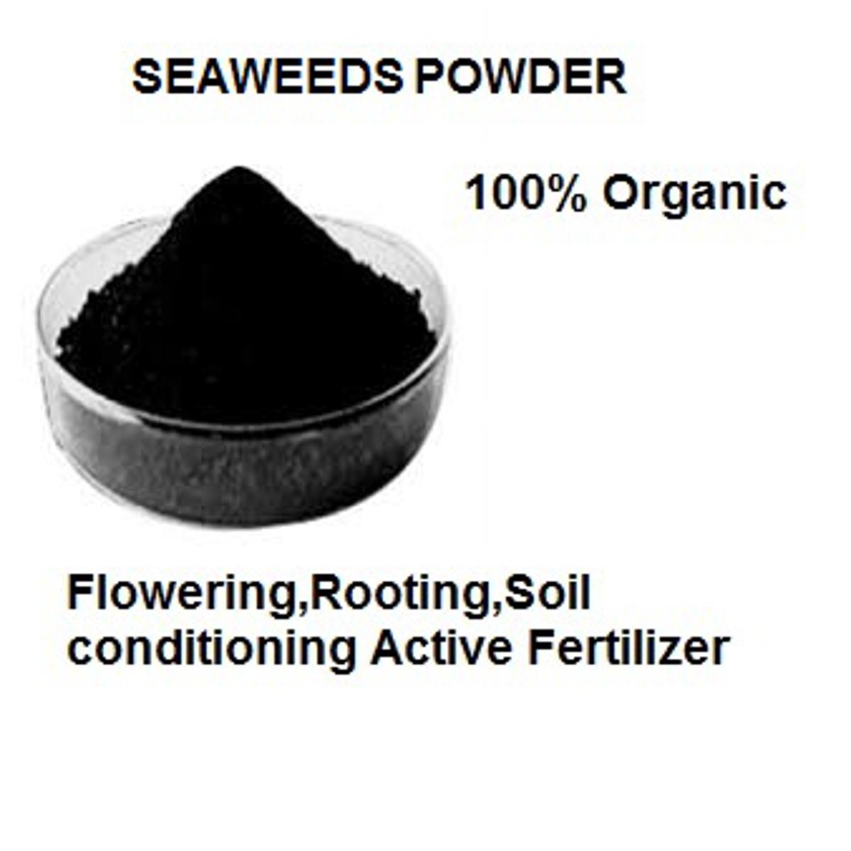 Picture of Seaweed Extract/Powder for plant 50g