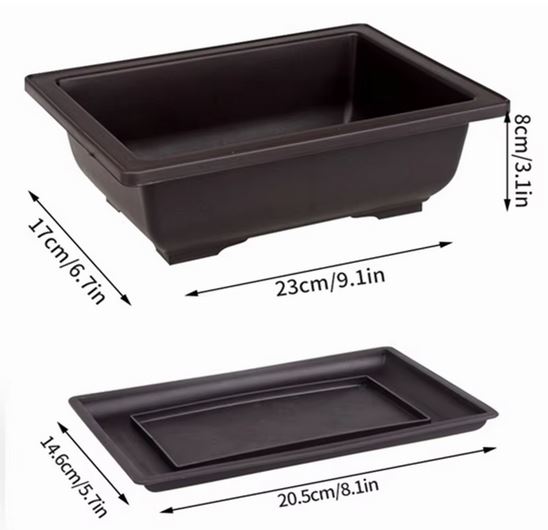 Picture of Bonsai flower pot 9 Inchi with Tray