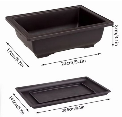 Picture of Bonsai flower pot 9 Inchi with Tray