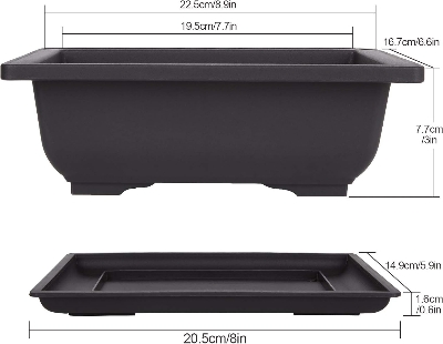 Picture of Bonsai flower pot 9 Inchi with Tray