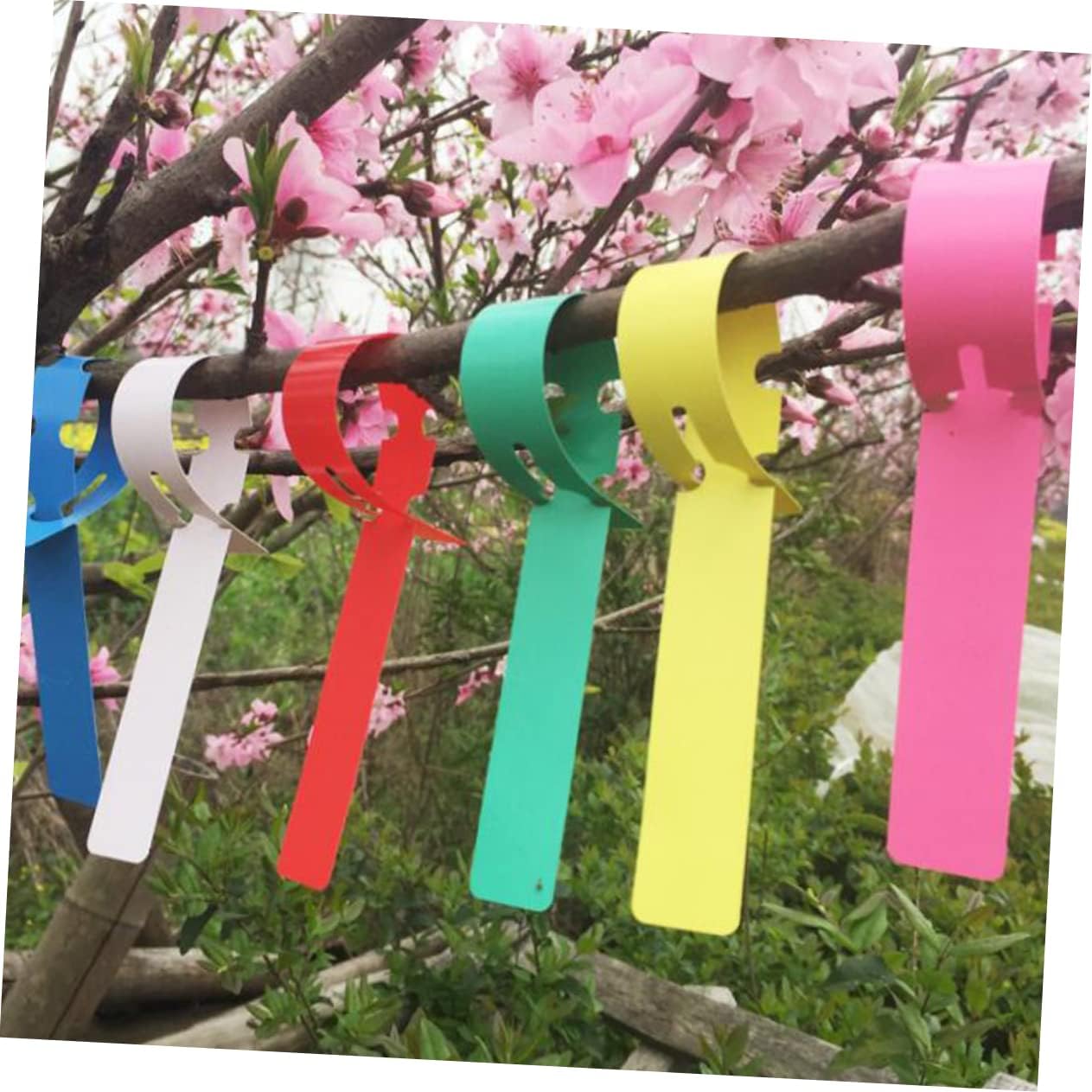 Picture of Garden Hang Tag 20 pcs Decoration Supply Hanging Tree Seedling Fruit Trees Signs Plastic Plant Label Tags