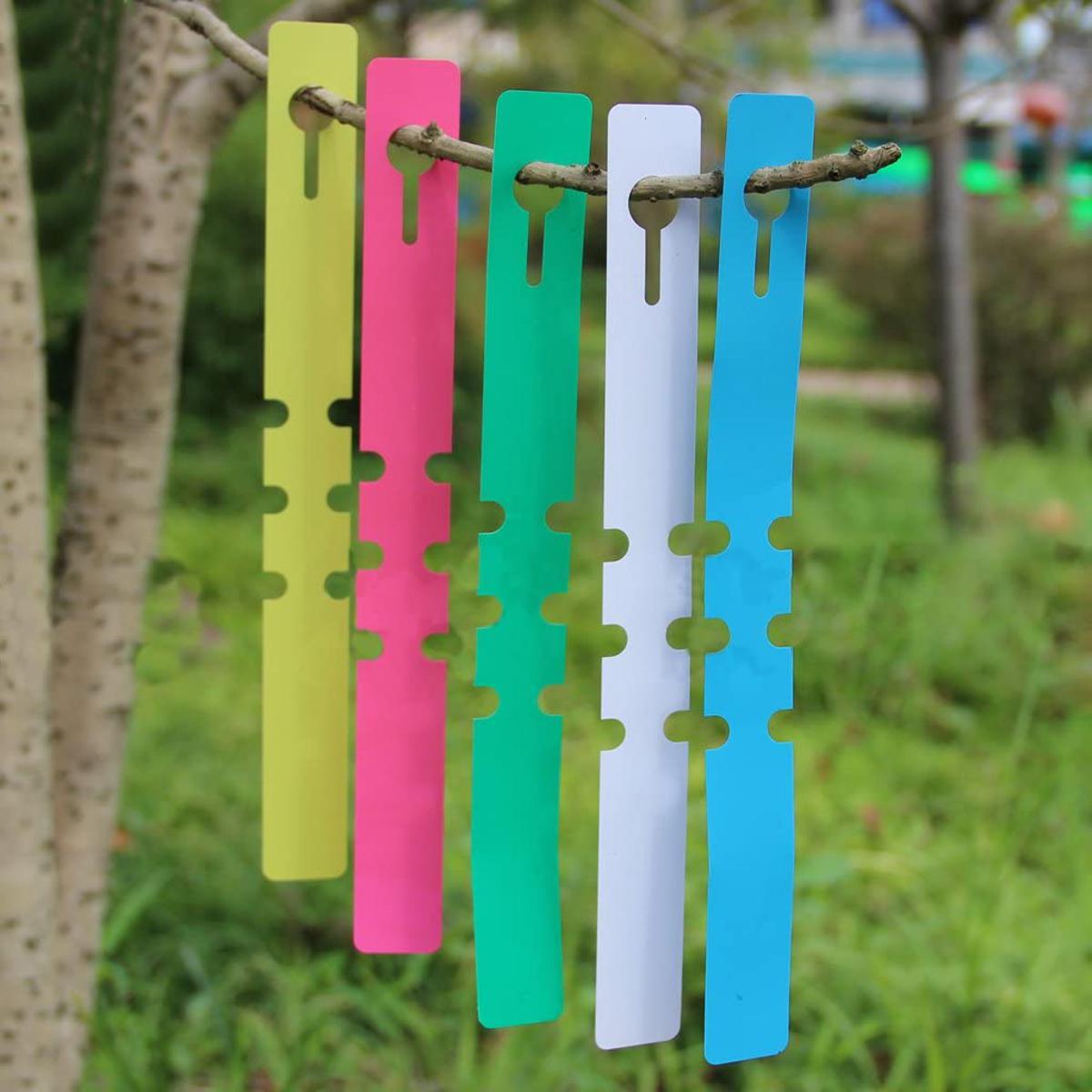 Picture of Garden Hang Tag 20 pcs Decoration Supply Hanging Tree Seedling Fruit Trees Signs Plastic Plant Label Tags