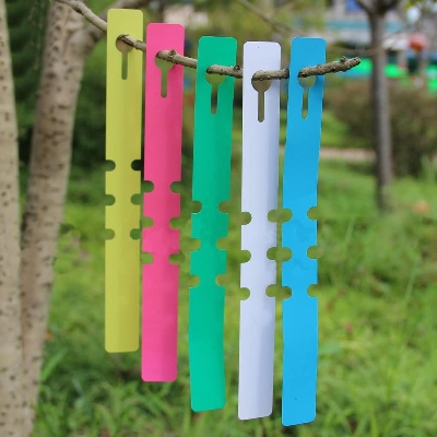 Picture of Garden Hang Tag 20 pcs Decoration Supply Hanging Tree Seedling Fruit Trees Signs Plastic Plant Label Tags