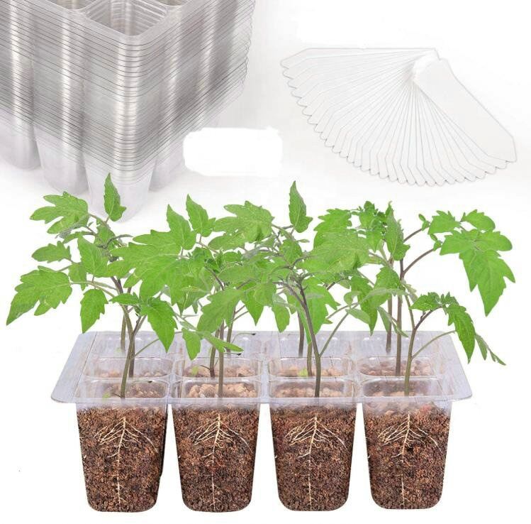 Picture of Transparent plastic plant propagate seed tray 12 cells - Vintage Choice - Exclusive Experience
