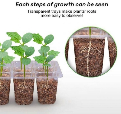Picture of Transparent plastic plant propagate seed tray 12 cells - Vintage Choice - Exclusive Experience
