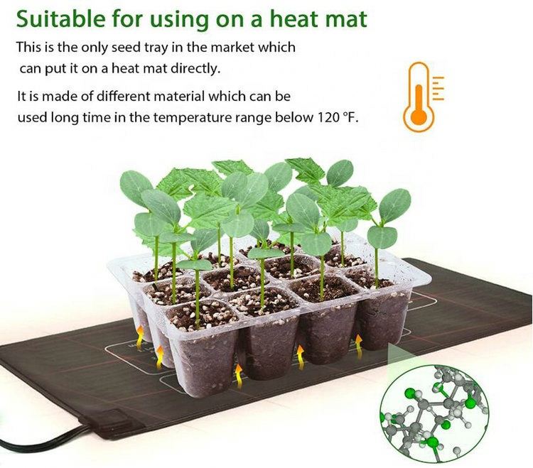 Picture of Transparent plastic plant propagate seed tray 12 cells - Vintage Choice - Exclusive Experience
