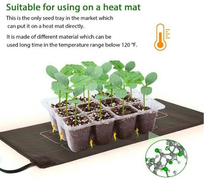 Picture of Transparent plastic plant propagate seed tray 12 cells - Vintage Choice - Exclusive Experience