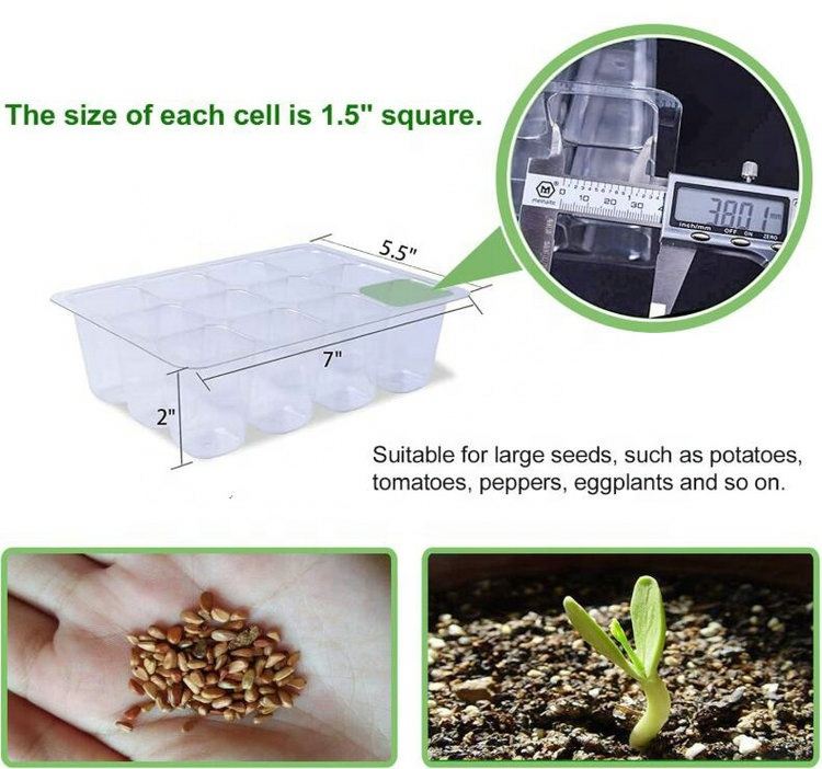 Picture of Transparent plastic plant propagate seed tray 12 cells - Vintage Choice - Exclusive Experience