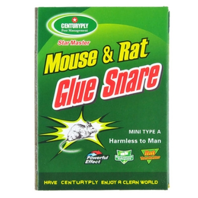 Picture of Eco-Friendly Mouse Glue Trap Mice Board Sticky