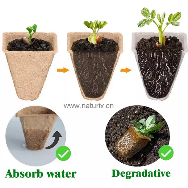 Picture of Biodegradable 12 cells Paper Pulp Peat Pots Seed Starter Nursery Trays 1 pcs