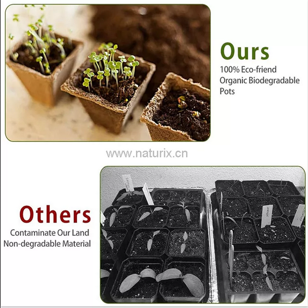 Picture of Biodegradable 12 cells Paper Pulp Peat Pots Seed Starter Nursery Trays 1 pcs