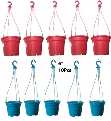 Picture of Planter Hanging 6 Inchi 10 Pcs Mix Colour