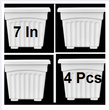 Picture of Flower Pot-7 Inchi Bp Flower Tob 4 Pcs
