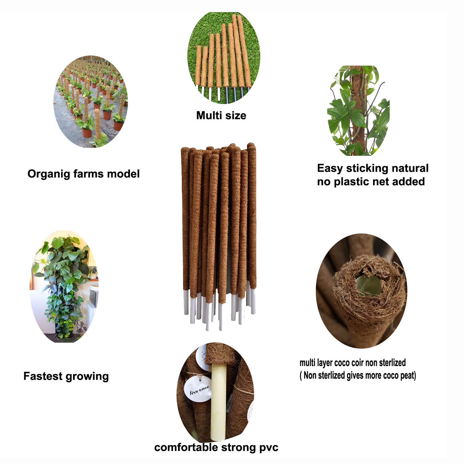 Picture of 15" Coco pole-Coco moss Stick for indoor plant 1 pcs