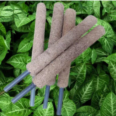 Picture of 5 Packs of 12-Inch Coconut Shell Totem Poles-Coconut Shell Moss Sticks, Suitable for Plant Support Expansion