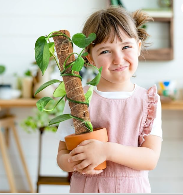 Picture of 5 Packs of 12-Inch Coconut Shell Totem Poles-Coconut Shell Moss Sticks, Suitable for Plant Support Expansion