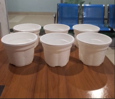 Picture of Flower pot  white coler 6 inch 6 pics  set