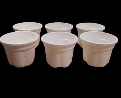 Picture of Flower pot  white coler 6 inch 6 pics  set
