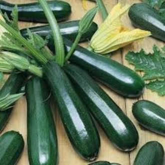 Picture of Squash Seeds -Black Beauty Zucchini 10 seeds