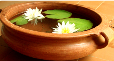 Picture of Lotus Flowers Fertilizer- Aquatic Tablet Water Lily Plant(1 Tablet)