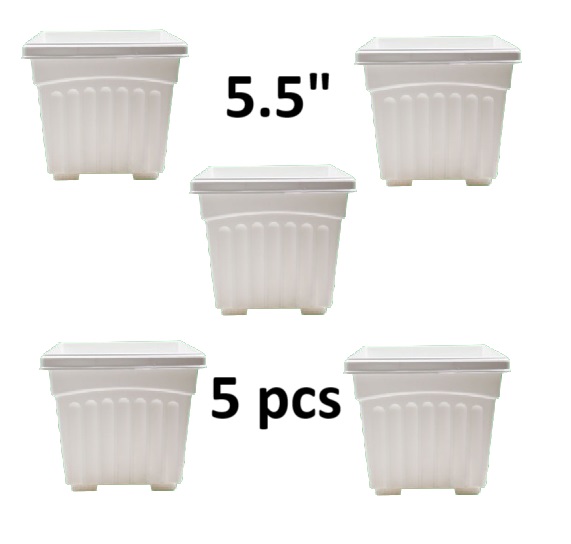 Picture of ( 4.5 inch -5 pcs ) bp plastic khandani square planter flower tub