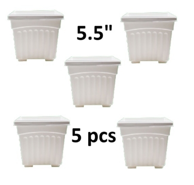 Picture of ( 4.5 inch -5 pcs ) bp plastic khandani square planter flower tub