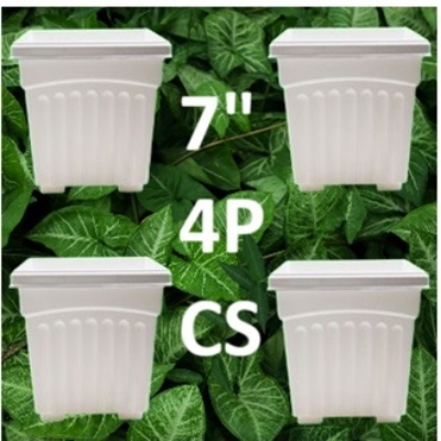 Picture of 7 Inchi Square Tob White 4 Pcs Set - Flower Tub