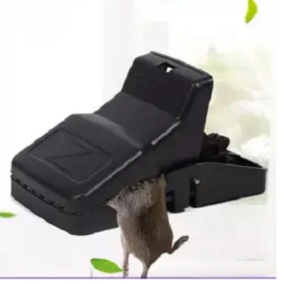 Picture of mouse trap fast mice rat trap mouse snap trap