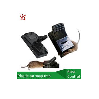 Picture of mouse trap fast mice rat trap mouse snap trap