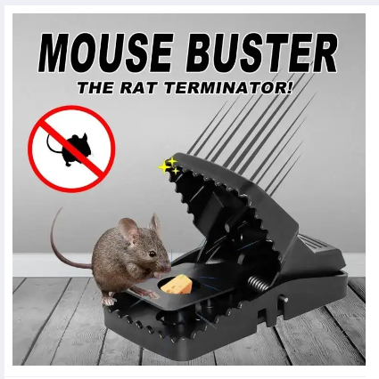 Picture of mouse trap fast mice rat trap mouse snap trap