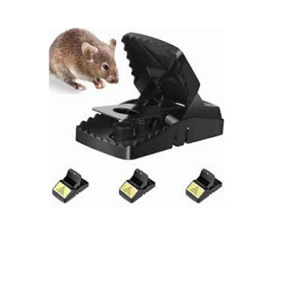 Picture of mouse trap fast mice rat trap mouse snap trap